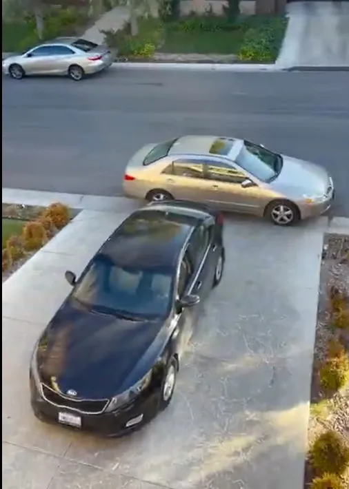 Blocking Driveway preview